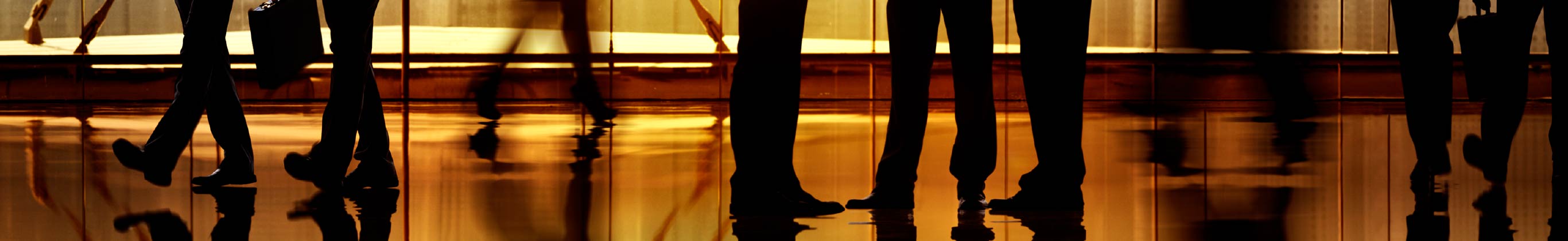 補助金のお手伝いをする様子